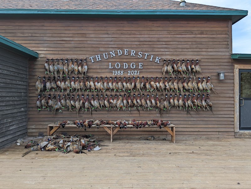 Thunderstik Lodge - Photo 5
