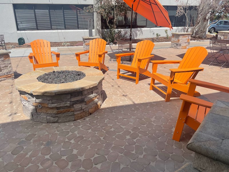 The Bardo Coffee House photo 4