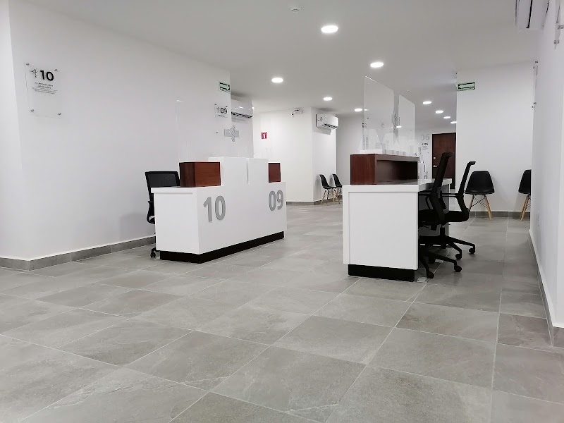 Gallery 5