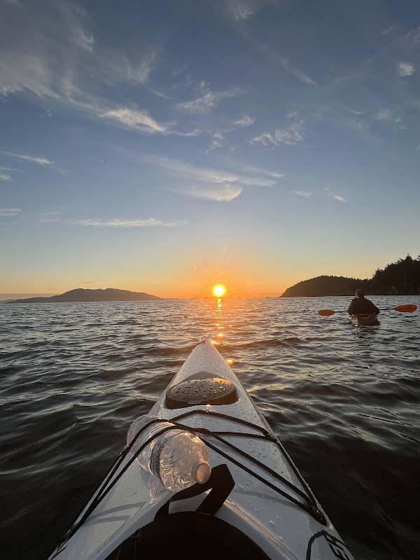 Bellingham Kayak Tours with Dragonfly Kayak Tours - Bellingham