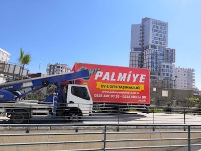 Palmiye Nakliyat - Nakliyat