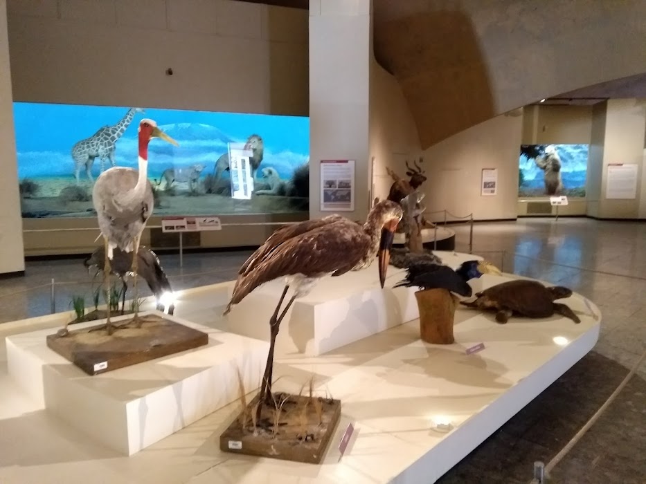 Museo de Historia Natural y Cultura Ambiental fotoğraf 1