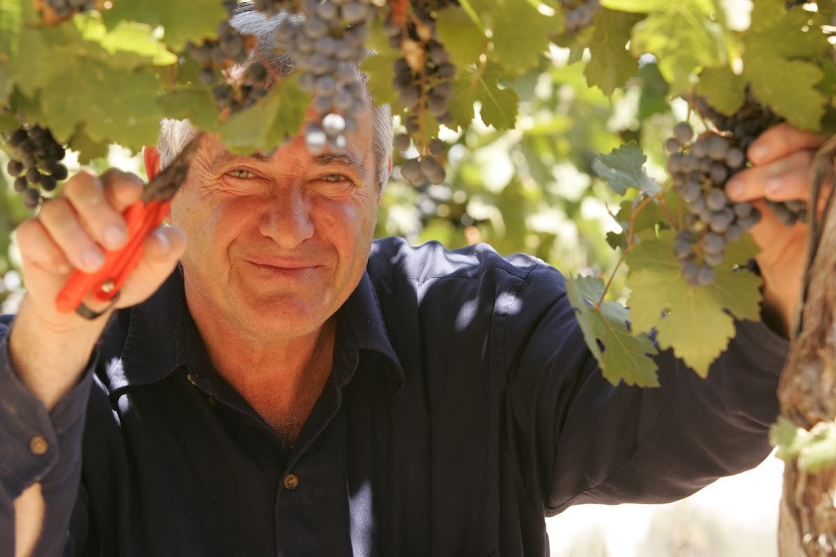 Gush Etzion Winery