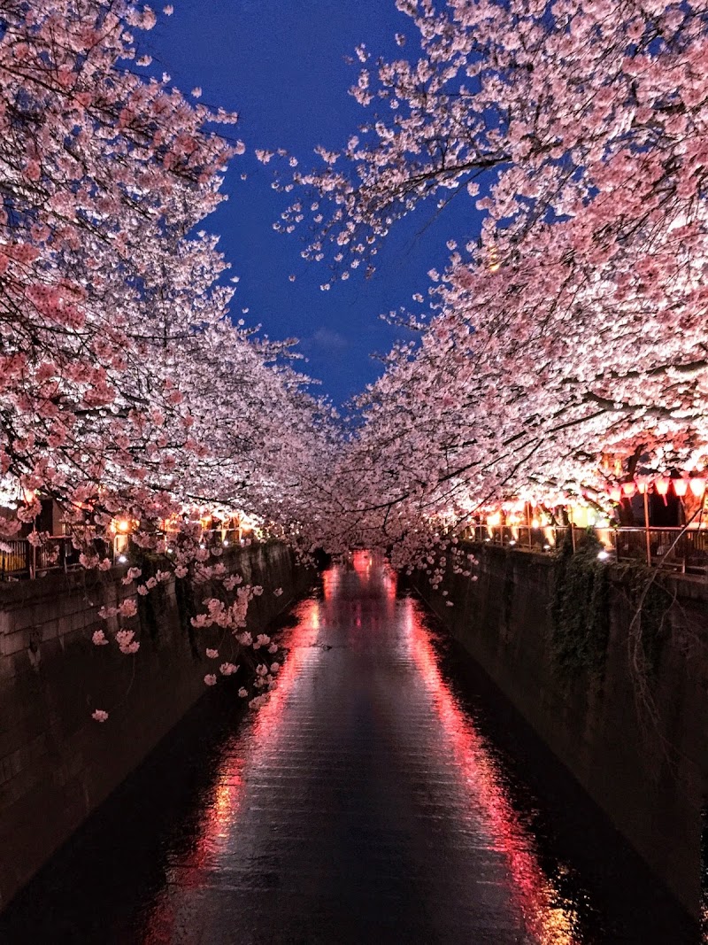 Nakameguro Canal