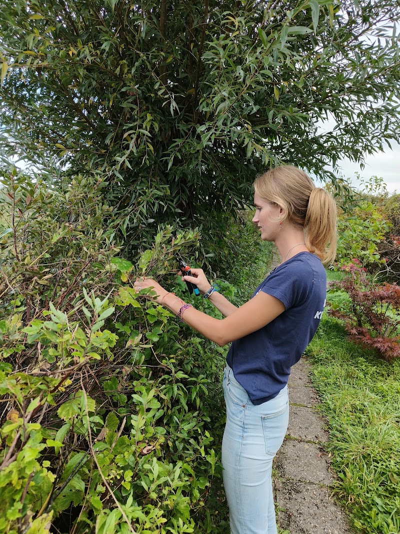 Historische Tuin Boskoop