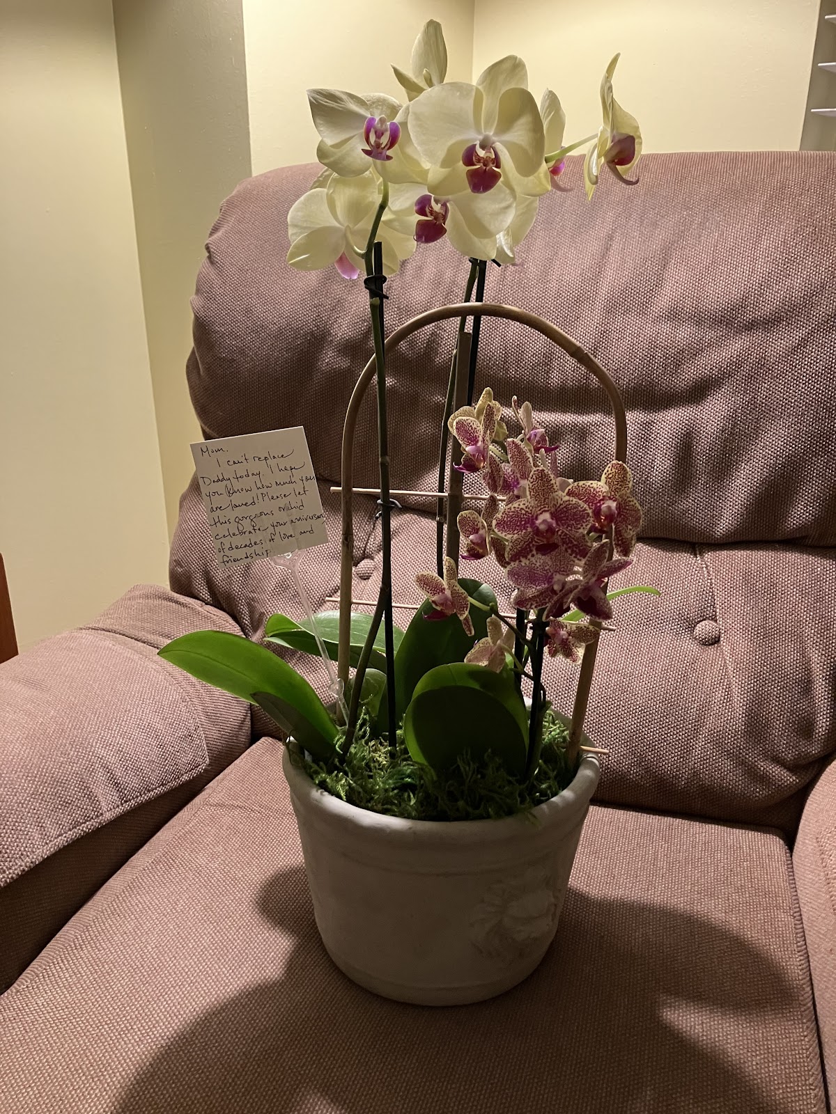 Bloom & Bounty Flowers: Google Places image 4