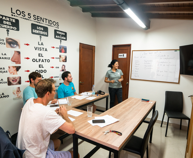 Elefun Spanish School Laureles