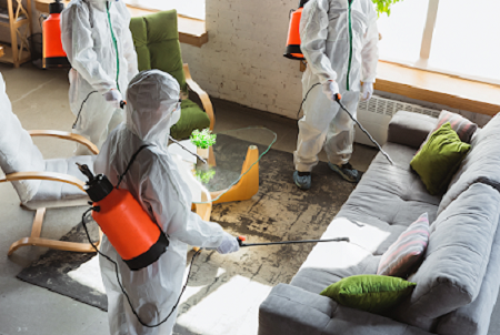 Cleanup — photo
