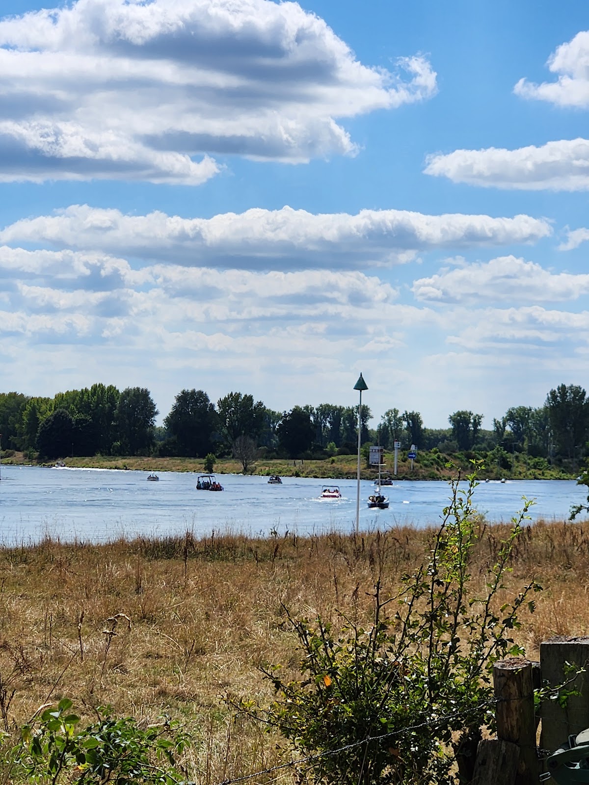 Maasplassen