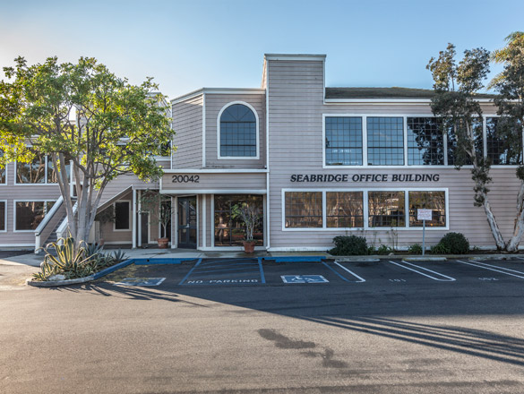 Ellis Sports Ltd photo