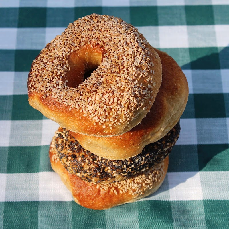 Girl Nextdough photo 2