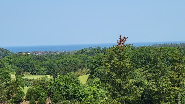 Katayamazu Golf Club West - Photo 9