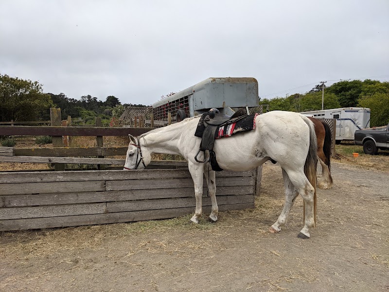 Ricochet Ridge Ranch - Photo 5