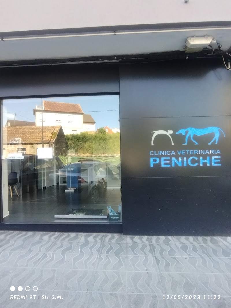 Clinica Veterinaria Peniche