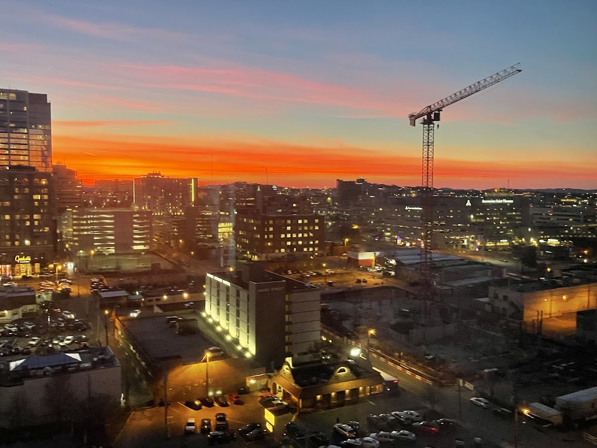 Hutton Hotel, dog-friendly hotel in Nashville