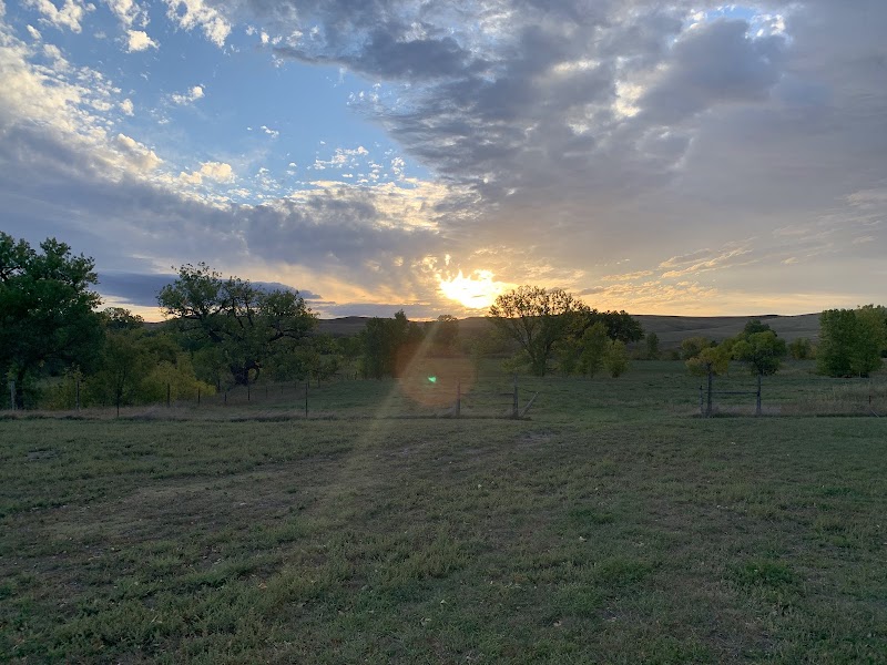 Triangle Ranch Bed & Breakfast - Photo 2