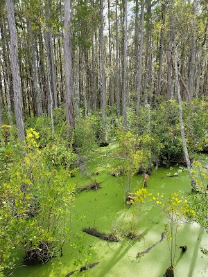 Conservation Park