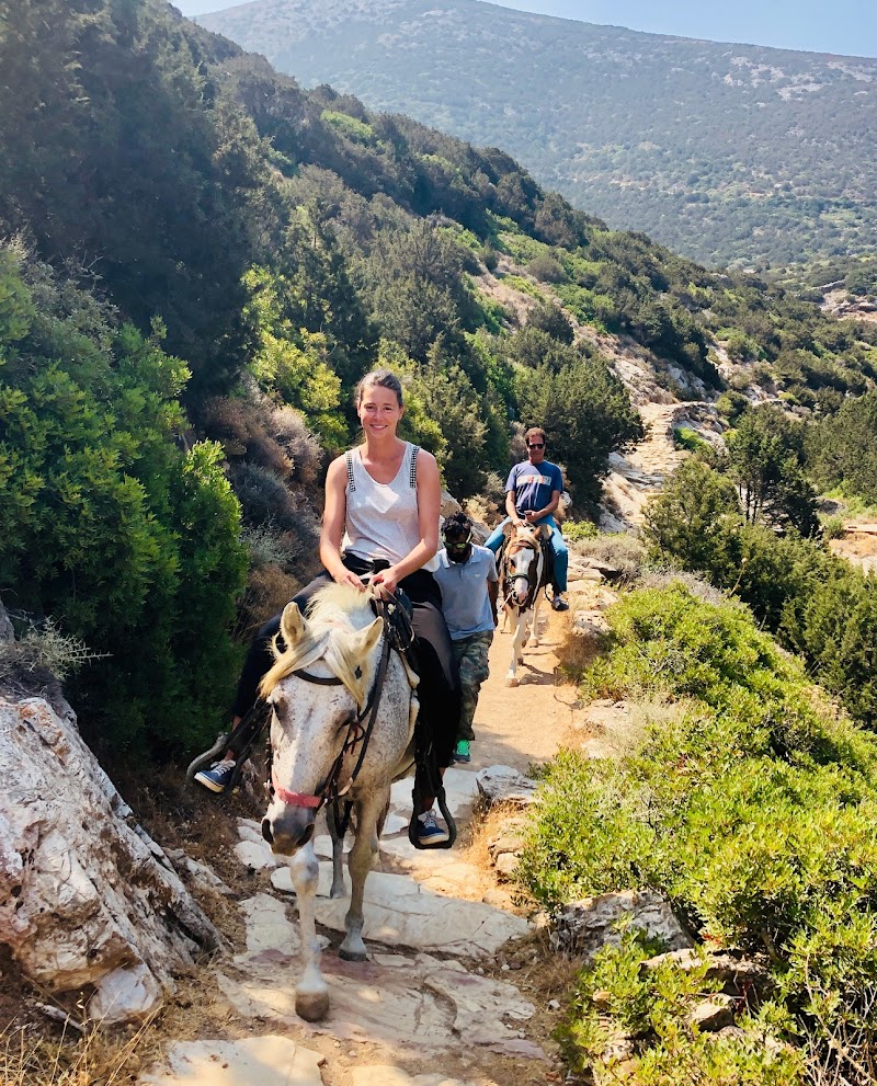 Sifnos Horseriding