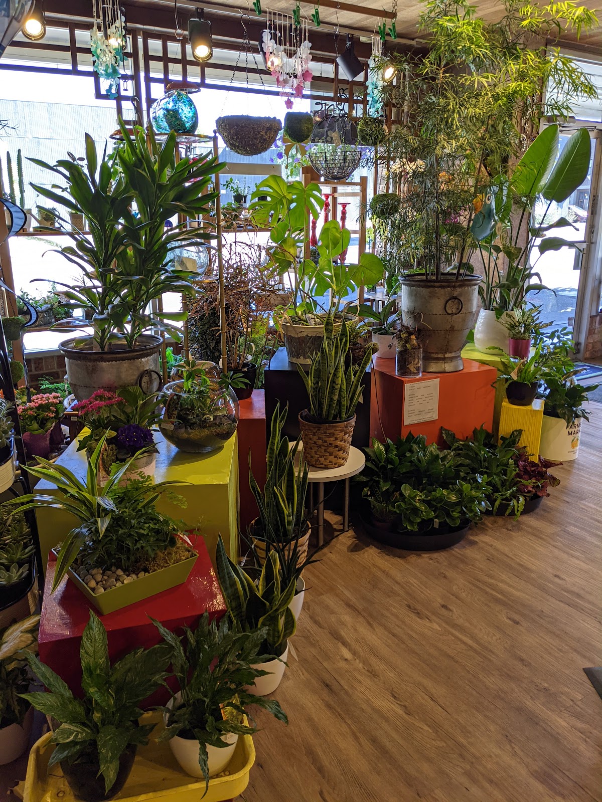 Cugini Florists & Fine Gifts: Google Places image 3