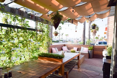 Steamy Piggy photo 1