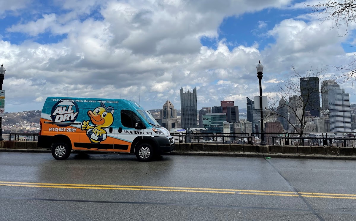 All Dry Services of South Hills Pittsburgh — photo