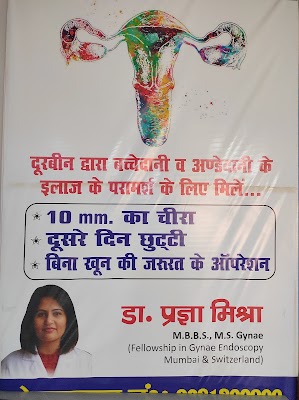 Dr Pragya Mishra, Obstetrician and Gynaecologist, Gynae endoscopy surgeon, Infertility Specialist - Image 3