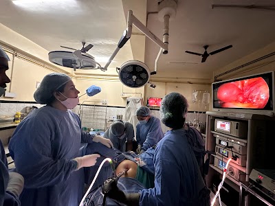 Dr Pragya Mishra, Obstetrician and Gynaecologist, Gynae endoscopy surgeon, Infertility Specialist - Image 2
