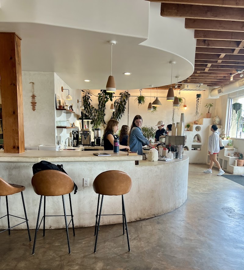 Palomino Coffee photo 4