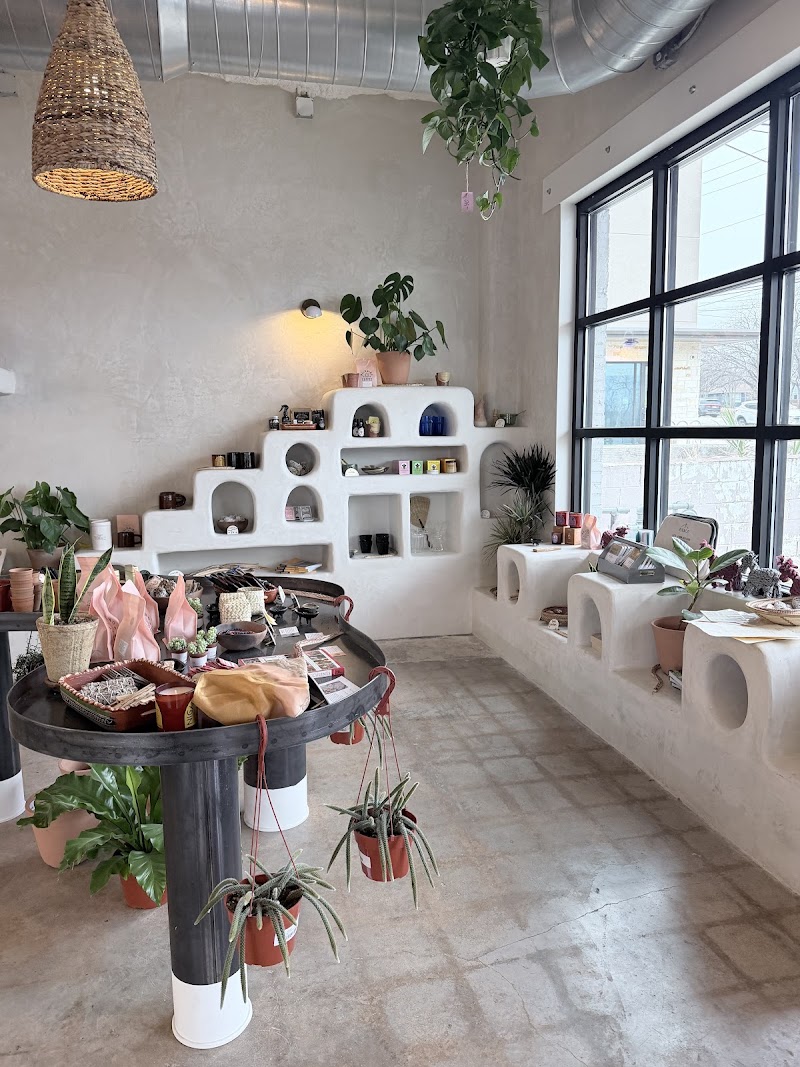 Palomino Coffee photo 2