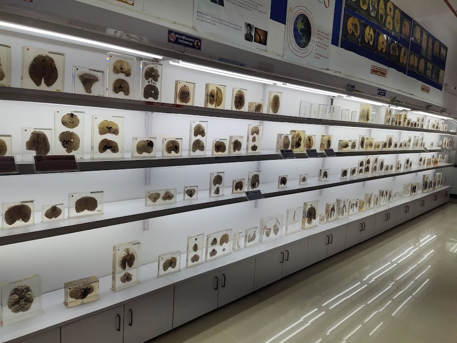 NIMHANS Brain Museum Bengaluru fotoğraf 1