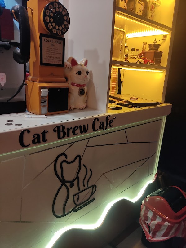 Cat Brew Cafe
