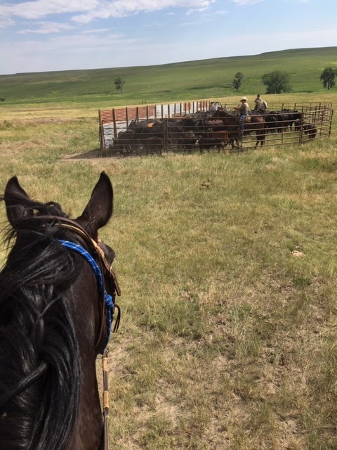 Crow Creek Guest Ranch
