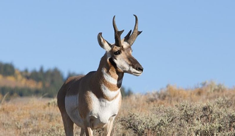 Crow Creek Guest Ranch - Photo 1