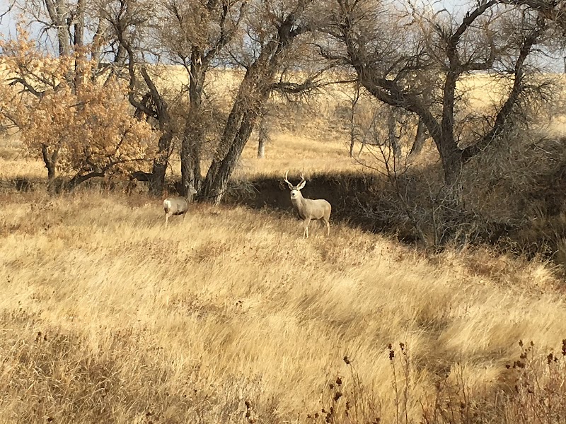 Crow Creek Guest Ranch - Photo 2