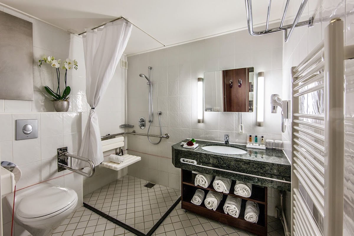 Crowne Plaza Maastricht 2