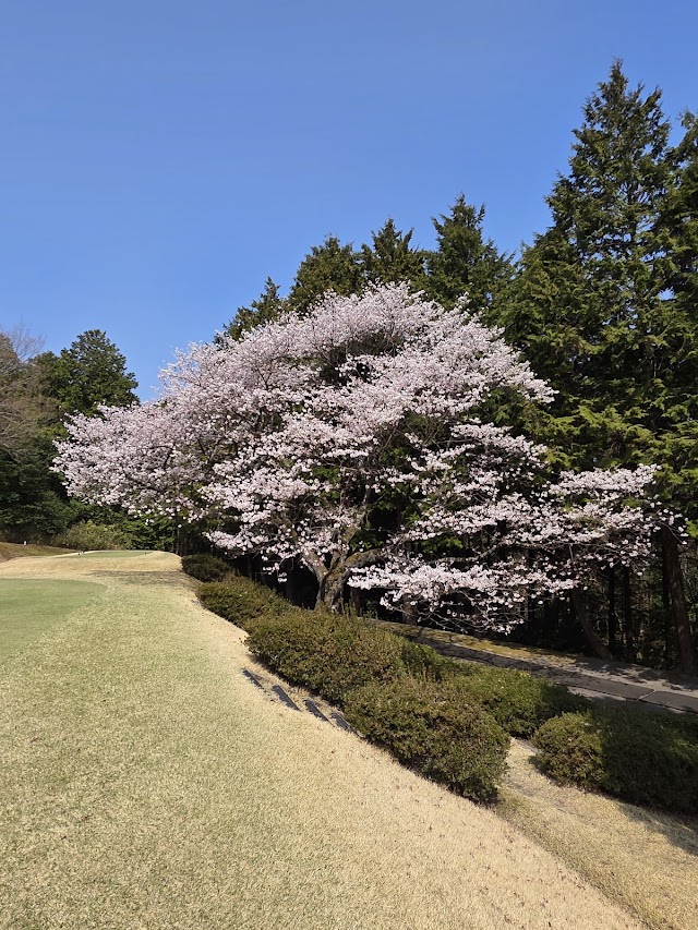 Meishin Youkaichi Country Club - Photo 10