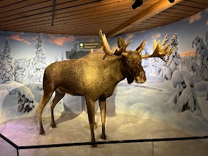 Holmenkollen Ski Museum