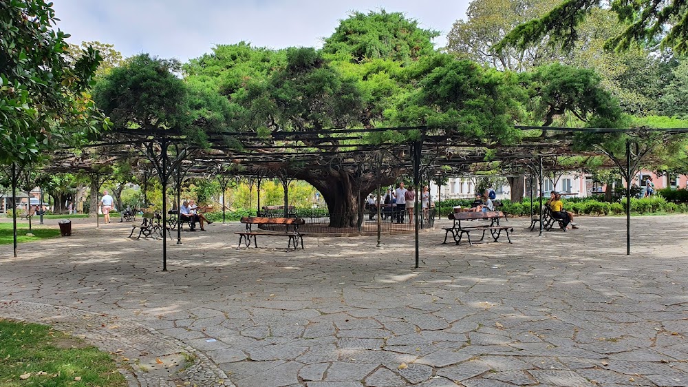 Jardim do Príncipe Real fotoğraf 1