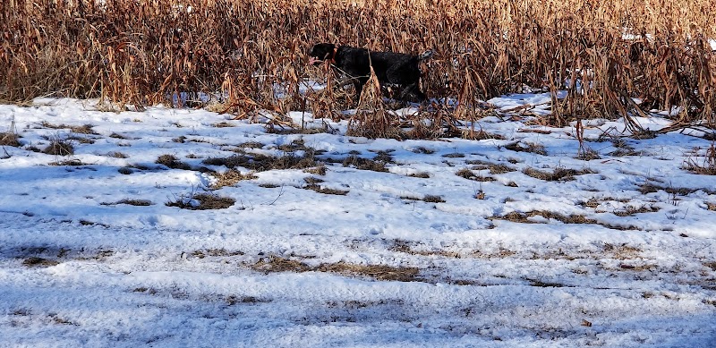 Ringneck Ranch LLC - Photo 1