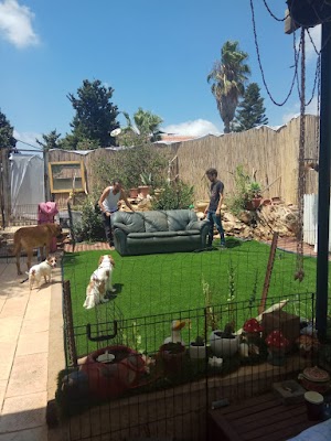 פנסיון בהר פנסיון ביתי במושב שורש