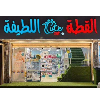 القطة اللطيفة