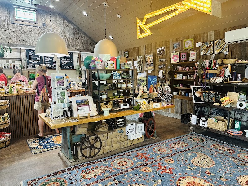 Mountain Dog Coffee photo 3