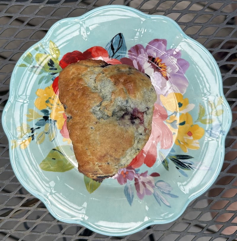 Mountain Dog Coffee photo 2