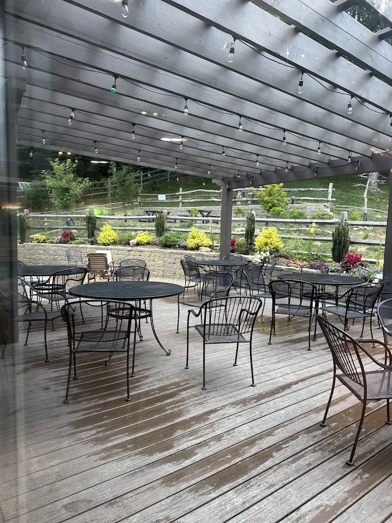 Mountain Dog Coffee photo 1