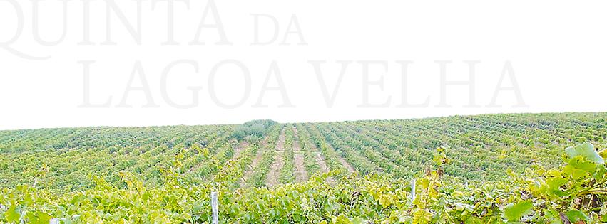 Quinta da Lagoa Velha