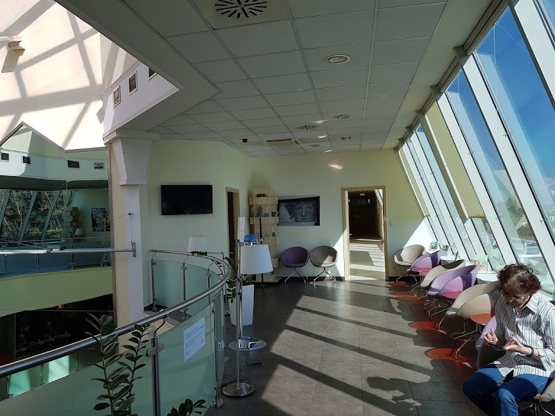 Gallery 2