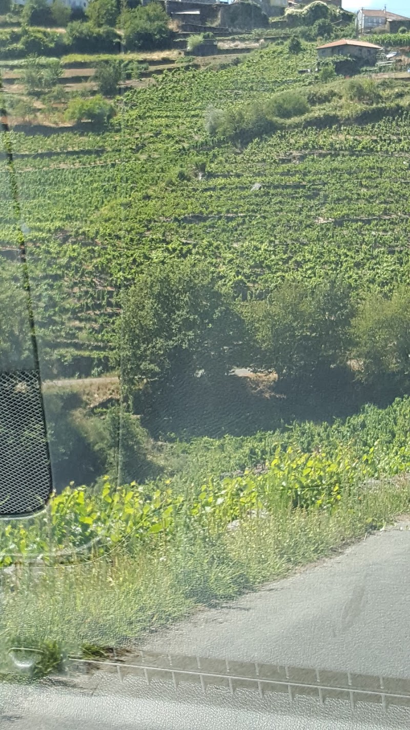 Viña Garoña Adega photo 4