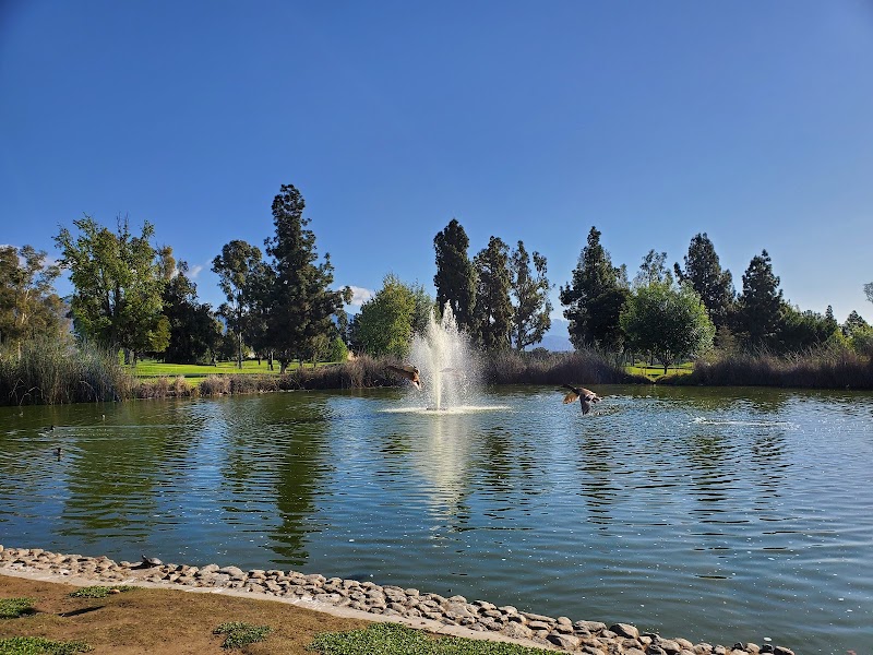 Alhambra Golf Course photo 3