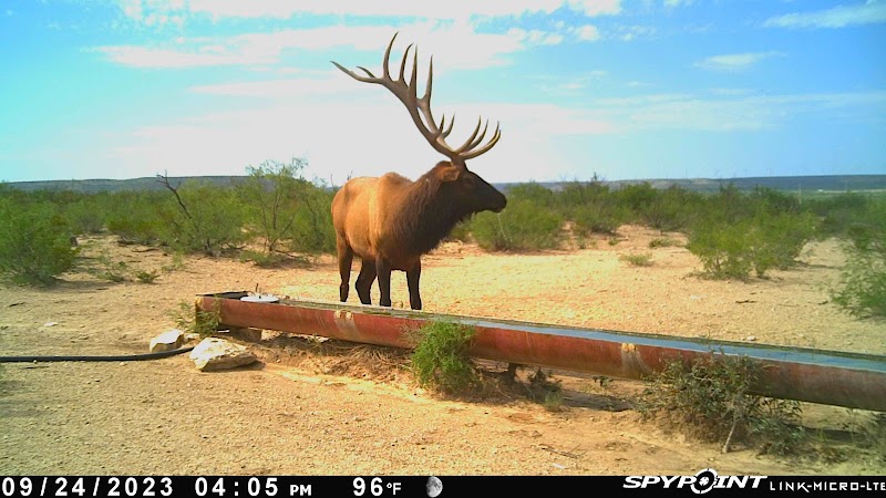 Lost Canyon Hunting - Photo 2