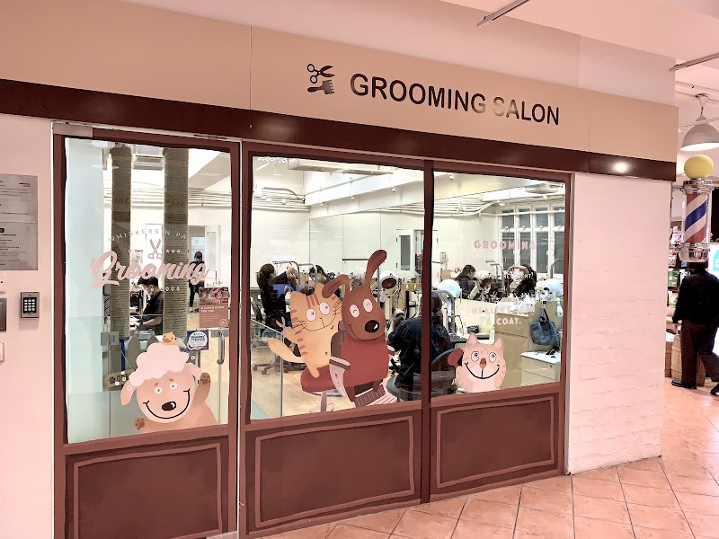 Whiskers N Paws | Pet Shop | Cat & Dog Grooming | Cat & Dog Adoption (ELEMENTS)